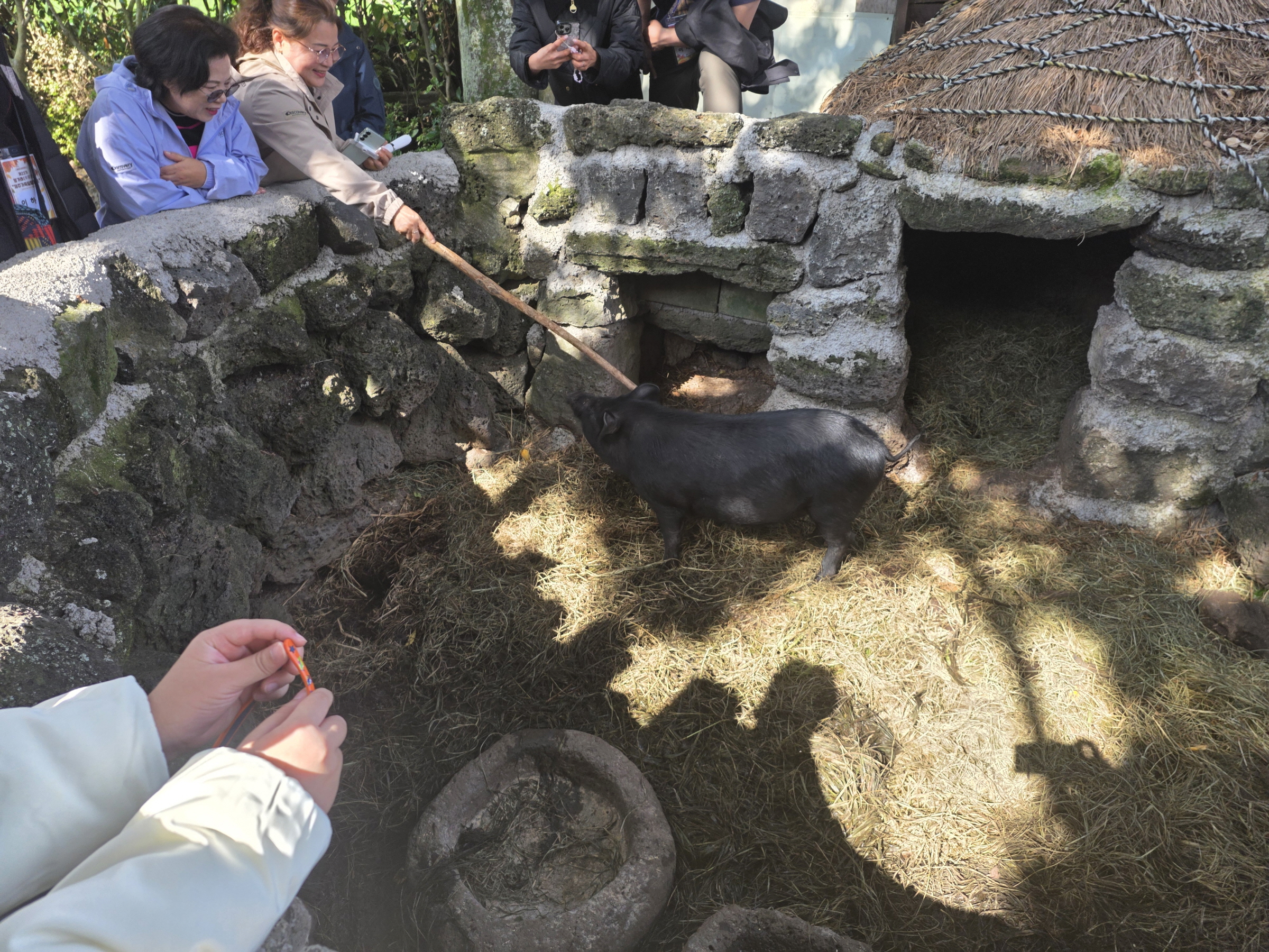 [크기변환]5_64942